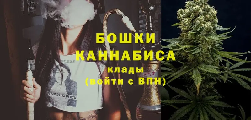 Бошки марихуана Amnesia  закладка  Камызяк 